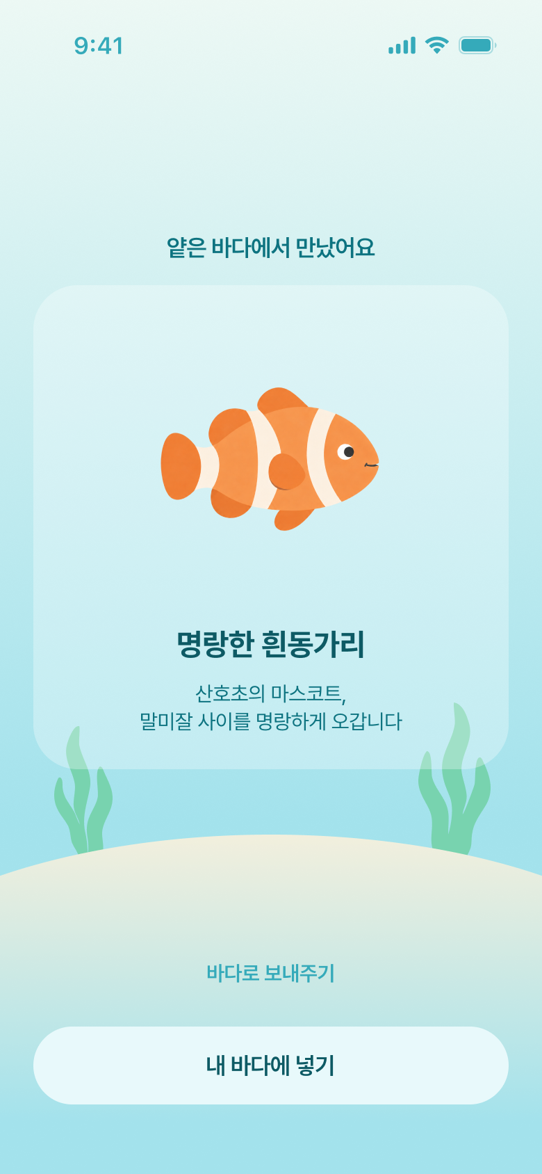 생물 만남 화면. 얕은 바다에서 만난 명랑한 흰동가리